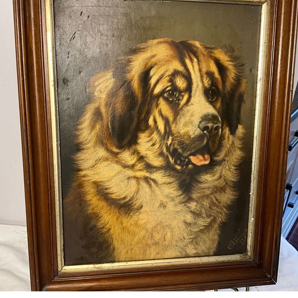 Vintage Saint Bernard Dog Portrait Framed Textured Print Oil Style Sporting Art - Picture 4 of 8